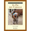 Guia. El pie del caballo