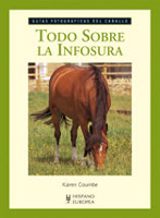 Guía. Todo sobre la infosura