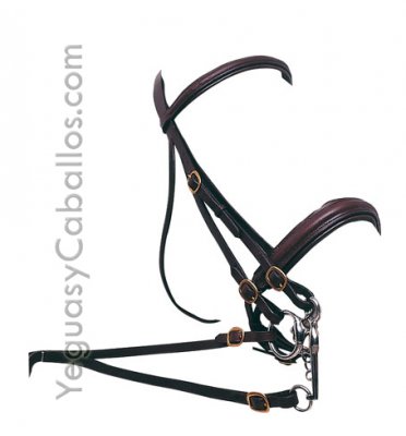 Cabezada Montar cuero doble rienda Z9