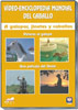 DVD. Enciclopedia mundial del caballo. Dólares al galope