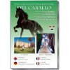 DVD. Enciclopedia mundial del caballo. El artista. Nudos y Trenzados