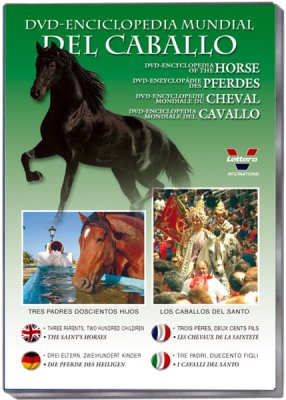 DVD. Enciclopedia mundial del caballo. Tres padres, doscientos hijos