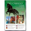 DVD. Enciclopedia mundial del caballo. Tres padres, doscientos hijos
