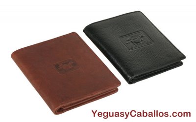 Cartera billetero