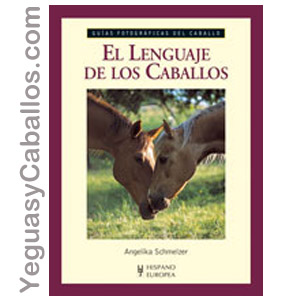 Guía. El lenguaje de los caballos