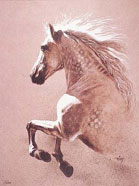 Lamina caballo espaol