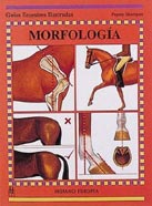 Gua. Morfologia del caballo
