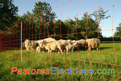 Malla electrificada para cabras