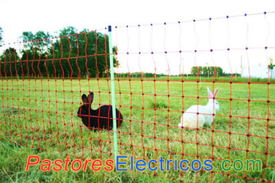 Malla electrificada para conejos