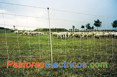 Malla electrificada para ovejas 50 m 108 cm