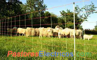 Malla electrificada para ovejas