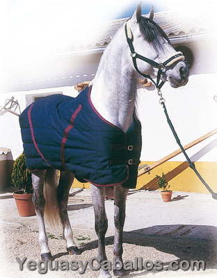 Manta invierno acolchada impermeable Zaldi