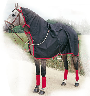 Manta Lluvia Impermeable &nbsp;Extra-Lippo&nbsp;