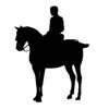 Pegatina caballos 11
