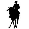 Pegatina caballos 12