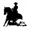 Pegatina caballos 14