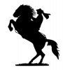 Pegatina caballos 19