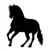 Pegatina caballos 5