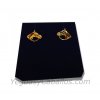 Pendientes caballo