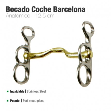 Bocado coche Barcelona anatómico