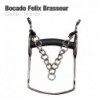 Bocado Felix Brasseur coche