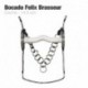 Bocado Felix Brasseur coche