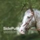 Cabezada montar Western Sidepull