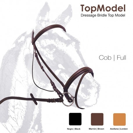 Cabezada montar doma TopModel