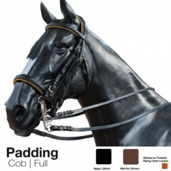Cabezada montar Padding doble rienda