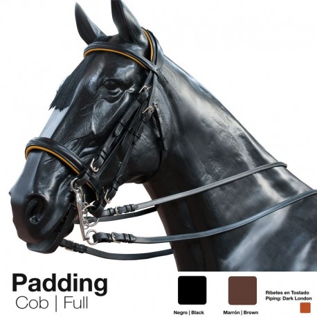 Cabezada montar Padding doble rienda