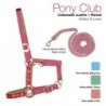 Cabezada cuadra + ramal Pony Club