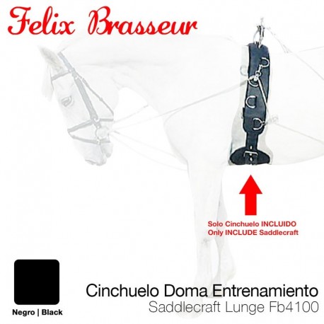 Cinchuelo Doma entrenamiento Felix Brasseur