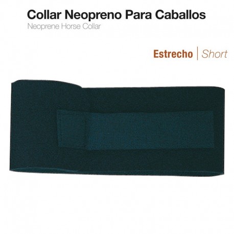 Collar neopreno caballo