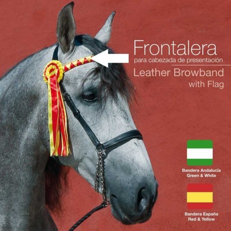 Frontalera para cabezada presentación