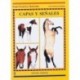 Guía. Capas y señales