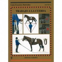 Guía. Trabajo a la cuerda