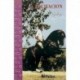 LIBRO: LA EQUITACION 2ªEDIC. (ALOIS PODLAISKY)