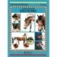 LIBRO: GUÍA. CÓMO CONDUCIR ENGANCHES