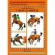 LIBRO: GUÍA. CÓMO MONTAR UN CABALLO DIFÍCIL