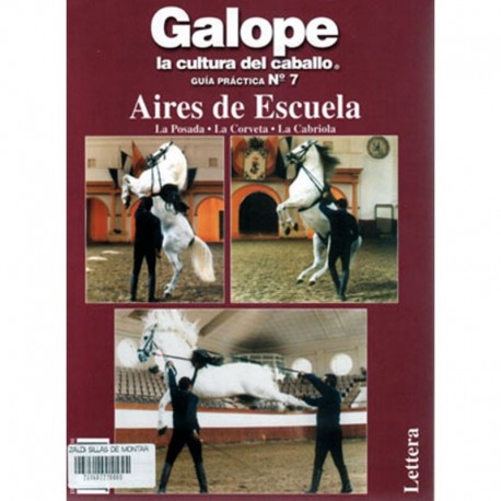 LIBRO: GUÍA DE ESCUELA Nº7
