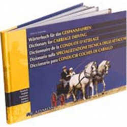 LIBRO: DICCIONARIO PARA CONDUCIR COCHES DE CABALLOS