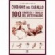 LIBRO: CUIDADOS DEL CABALLO.100 TyC DE VETERINARIO