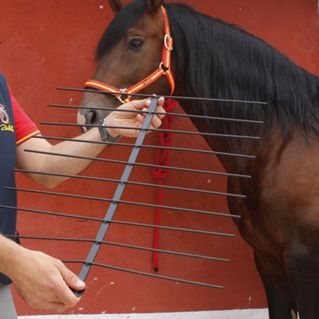 Medidor dorso para caballos