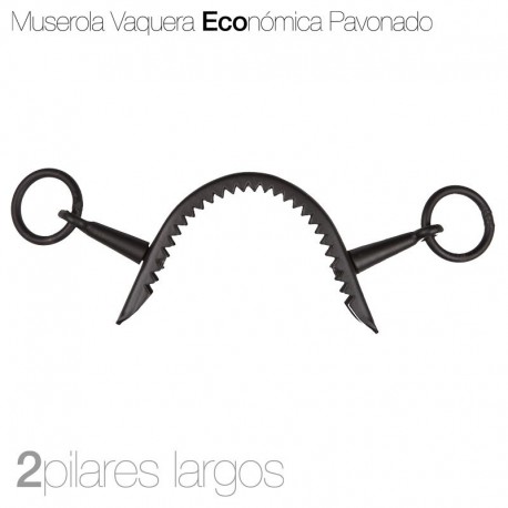 Muserola vaquera ECO pavonado 2 pilares largos