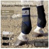 Protector Eskadron proactive pony pie