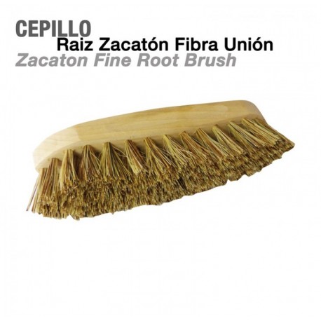Cepillo raiz zacatón fibra unión