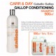 Carr & Day champú caballo Gallop