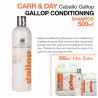 Carr & Day champú caballo Gallop