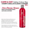 Carr & Day champú caballos alazán y castaño