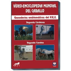 DVD. Enciclopedia mundial del caballo. Ganaderías emblemáticas del P.R.E.